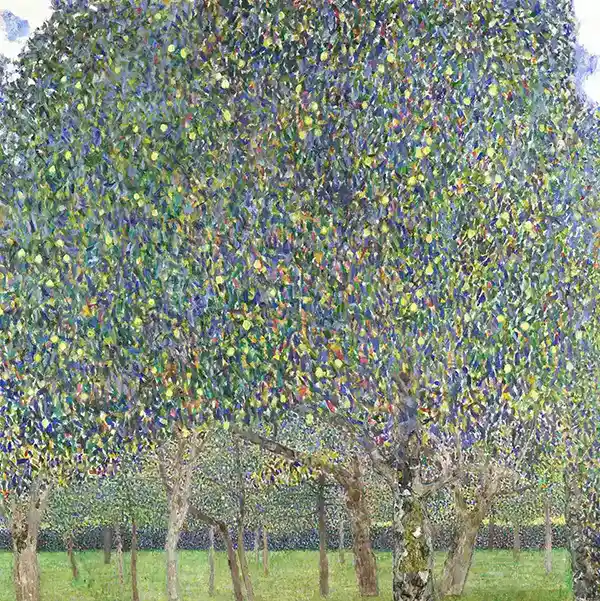 Pear Tree